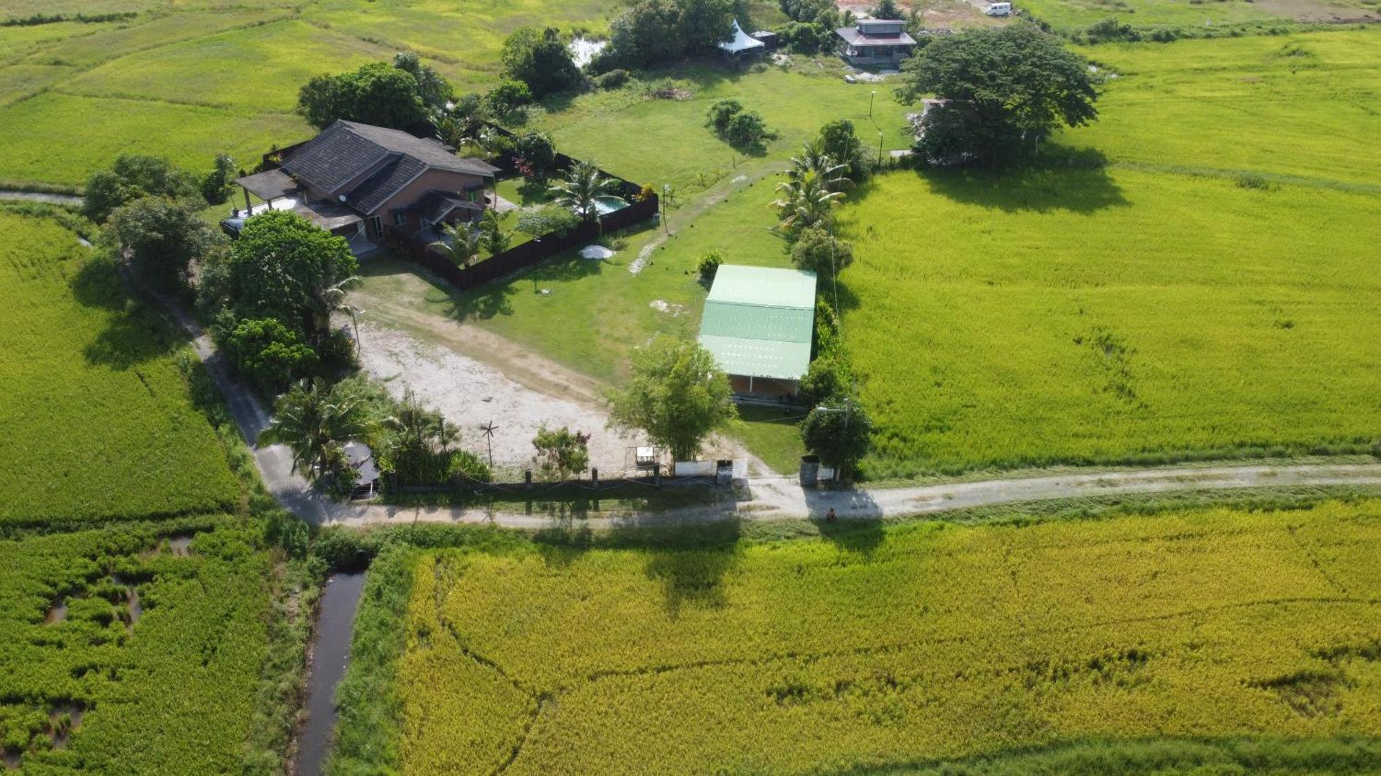 Villa Tempoyak Homestay ปันไตเจอนัง ภายนอก รูปภาพ
