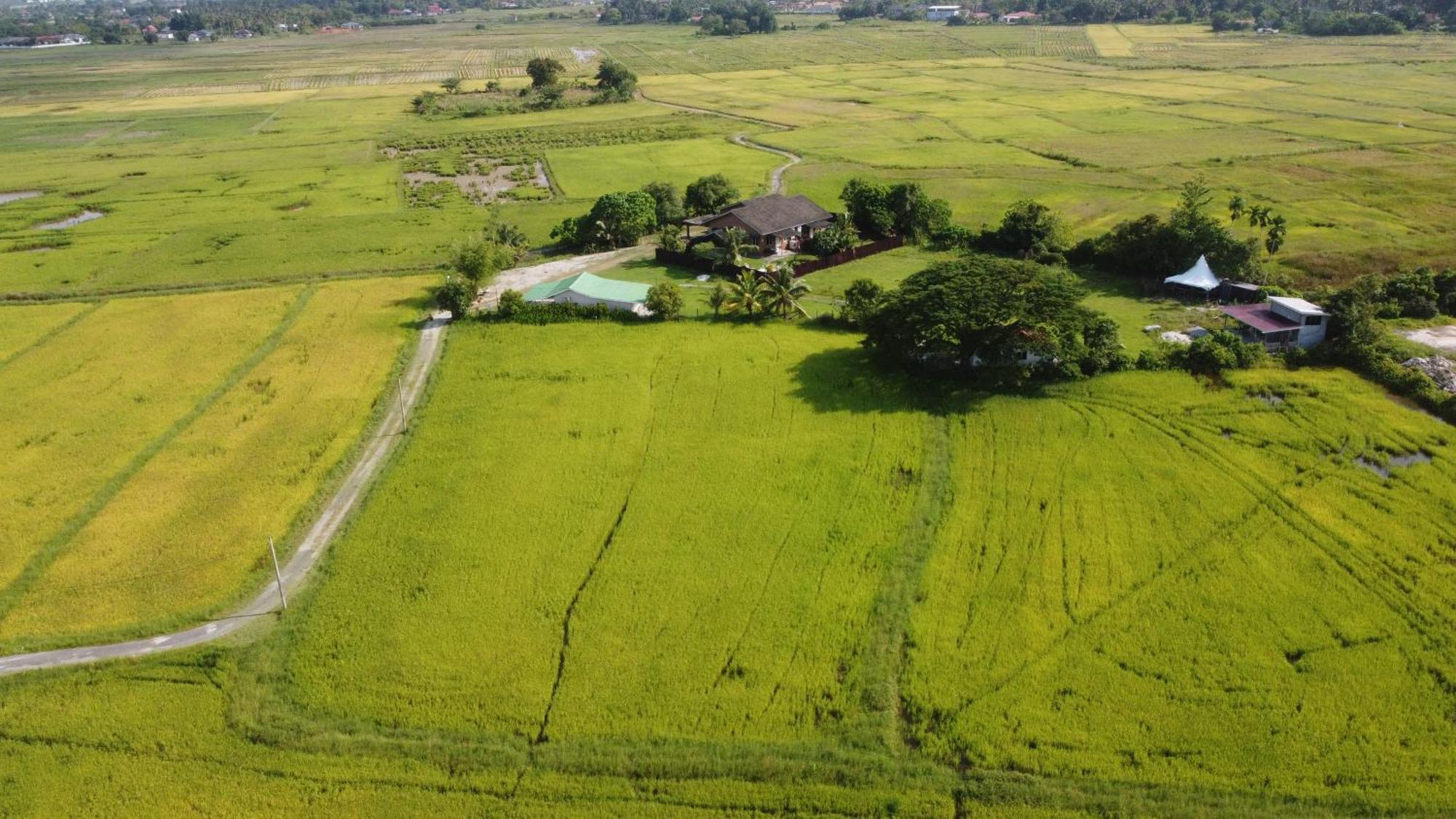 Villa Tempoyak Homestay ปันไตเจอนัง ภายนอก รูปภาพ