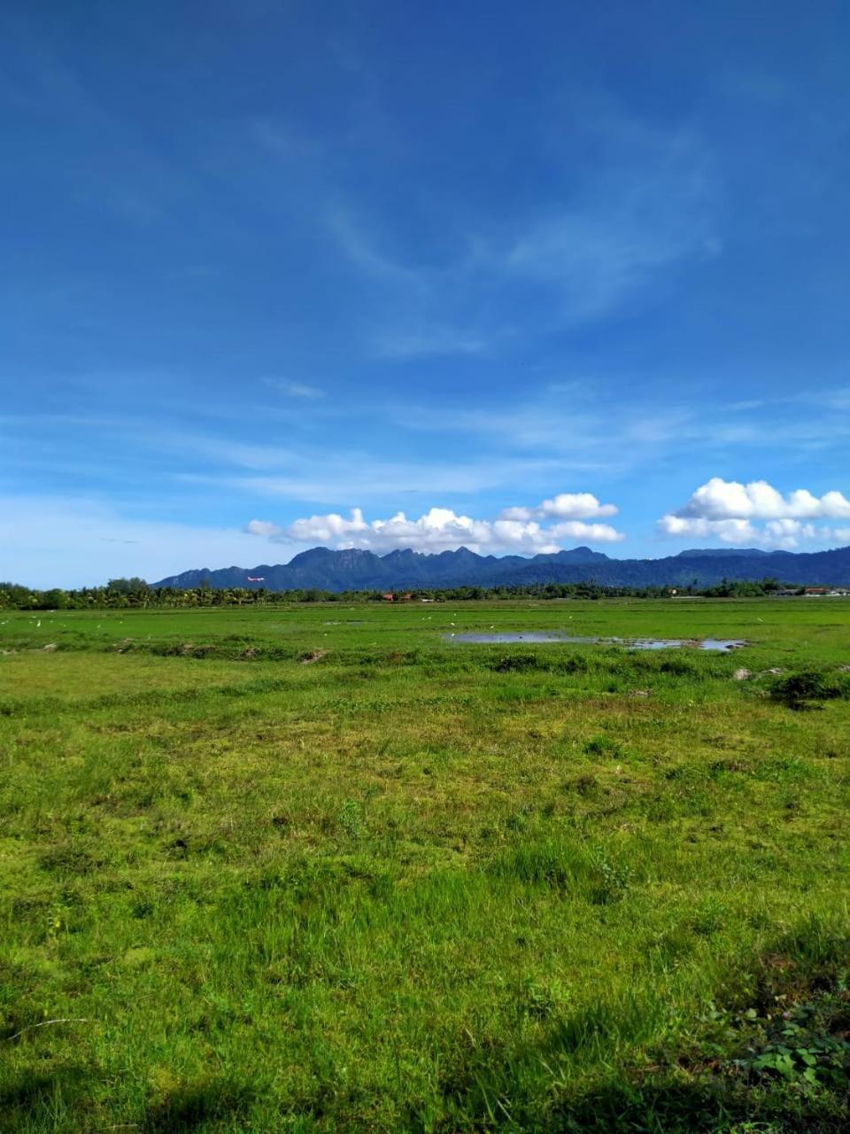 Villa Tempoyak Homestay ปันไตเจอนัง ภายนอก รูปภาพ