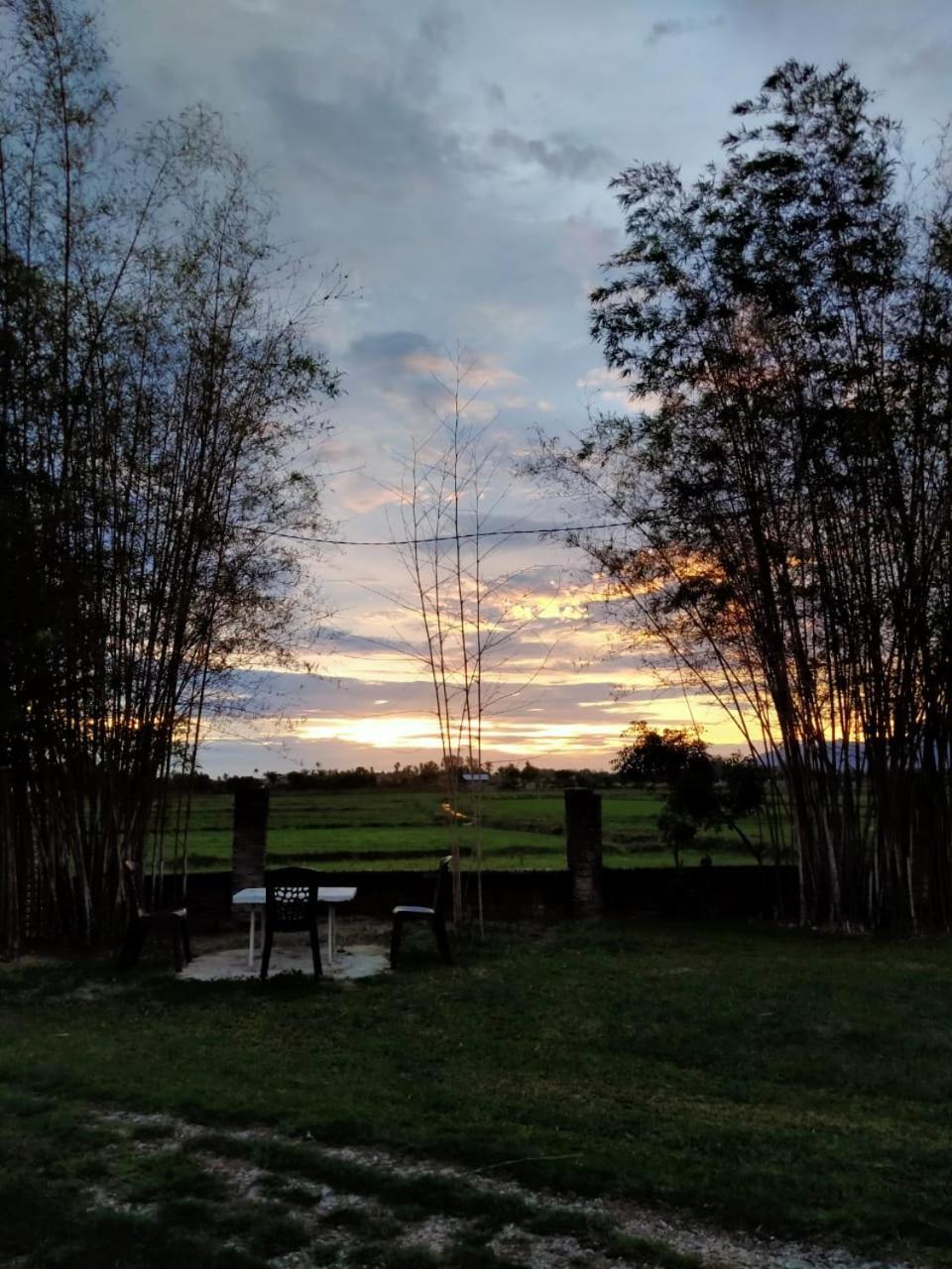 Villa Tempoyak Homestay ปันไตเจอนัง ภายนอก รูปภาพ
