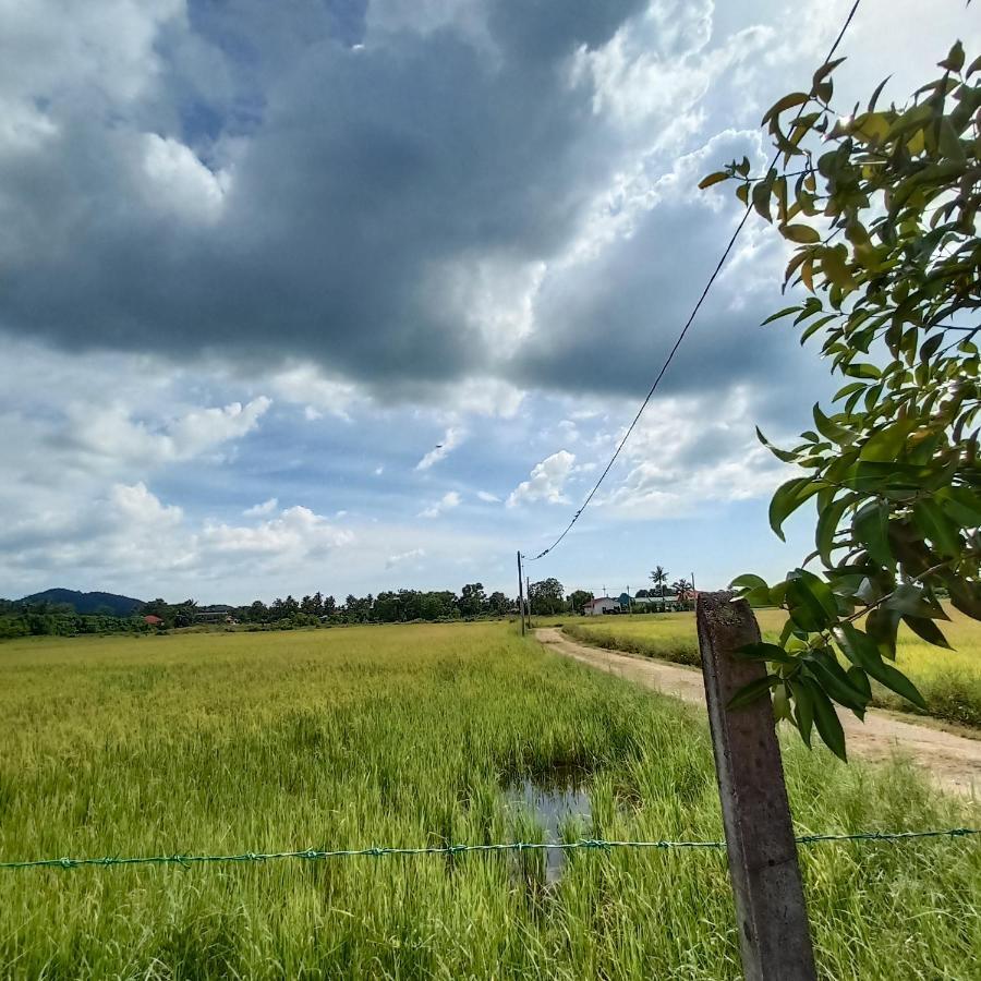 Villa Tempoyak Homestay ปันไตเจอนัง ภายนอก รูปภาพ